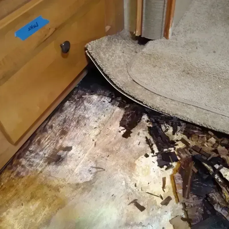 Wood Floor Water Damage in Wilson, NY